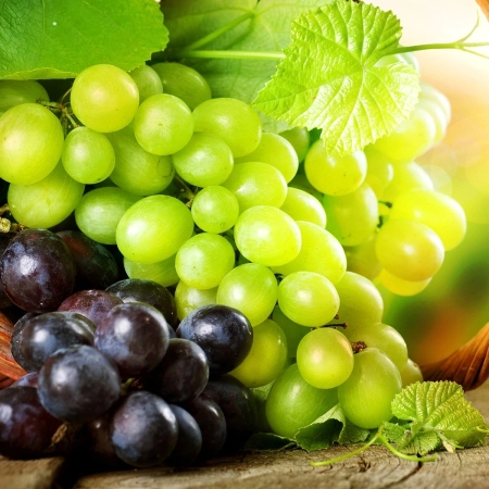 Erika Running Short_D